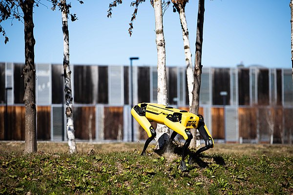 Roboterhund Spot zu Besuch im Lakeside Park